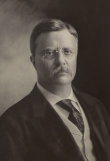 Theodore Roosevelt (1858-1919), 26th President of the United States 1901-09, Head and Shoulders Portrait, Photograph by George Prince, 1904
