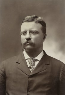 Theodore Roosevelt (1858-1919), 26th President of the United States 1901-09, Head and Shoulders Portrait as New York Governor, Photograph by George Prince, 1900