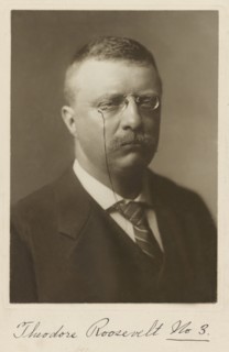 Theodore Roosevelt (1858-1919), 26th President of the United States 1901-09, Head and Shoulders Portrait as New York Governor, Photograph by R.W. Thatcher, 1900