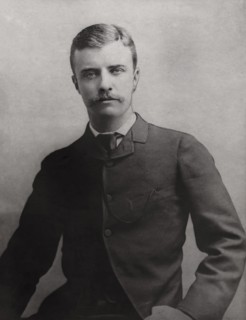 Theodore Roosevelt, Half-Length Portrait as New York State Assemblyman, 1884