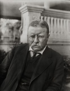 Former U.S. President Theodore Roosevelt, Half-Length Portrait, Photograph by Underwood & Underwood, 1916