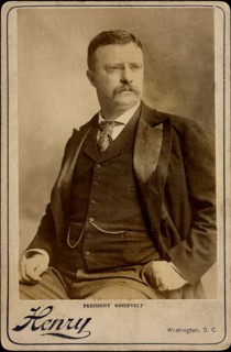 Theodore Roosevelt (1858-1919), 26th President of the United States 1901-09, Half-Length Seated Portrait, Photograph by Henry, Washington, D.C. 1902