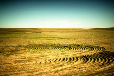 Crop Circles, Cultivated Landscape