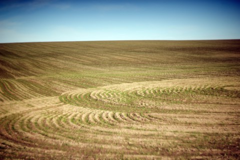 Crop Circles, Cultivated Landscape