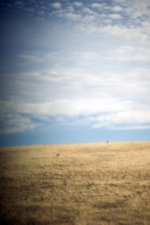 Rural Plains Landscape