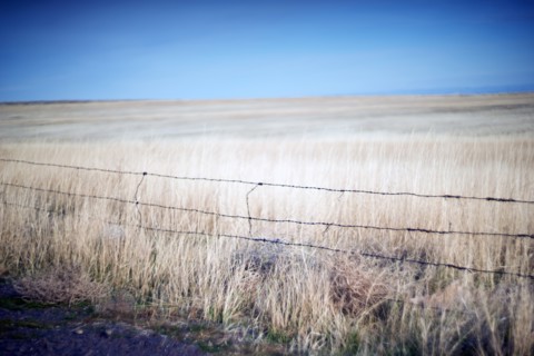 Weathered Barbed Wire Fence