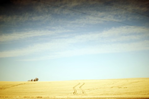 imprints from Vehicle through Agricultural Landscape