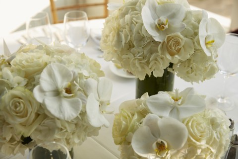 Vases of White Flowers on Wedding Reception Table