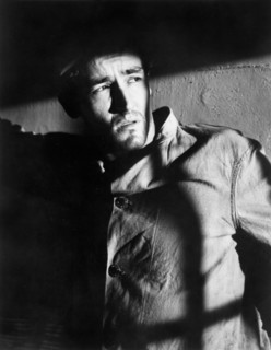 Vittorio Gassman, man, actor, celebrity, entertainment, historical,