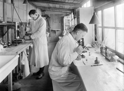 Two American Doctors Studying Bacteria of Trench Diseases and experimenting with new Antiseptic Solutions in Laboratory at American Red Cross Military Hospital