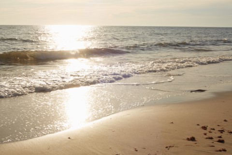 Aquinnah Beach