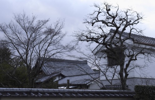 Daitoku-ji Temple