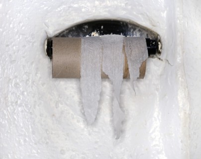 Finished Roll of Toilet Paper
