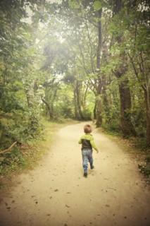 Rear View of Young Boy running down Woodland Path