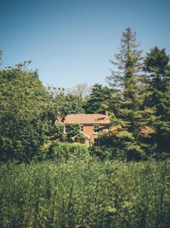 House hidden by Trees