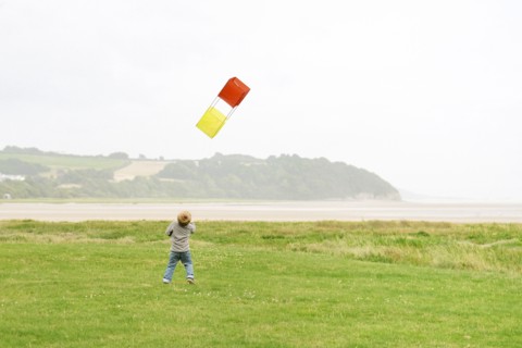 Young Boy Flying Kite
