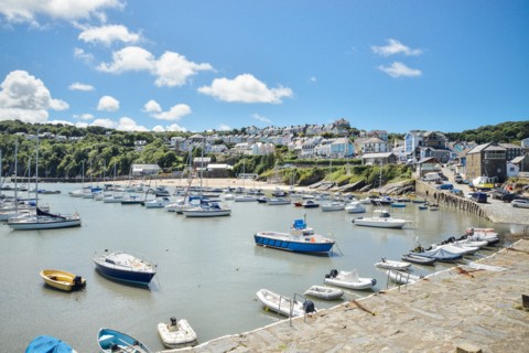 Boats in Harbor