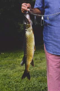 Man with Caught Fish from Sand Pond, Menges Hotel and Resort, 1977