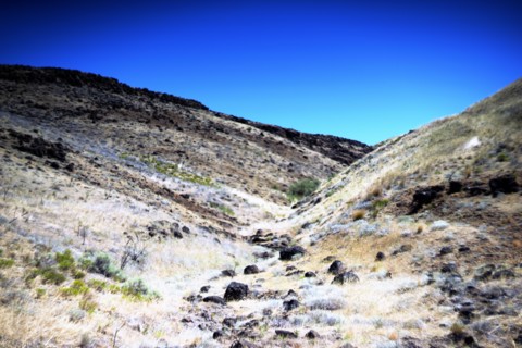 Remote Arid Hillside, Eastern Oregon,