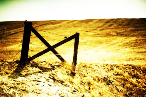 Wood Gate and Barbed Wire Fence along Golden Agricultural Landscape,,