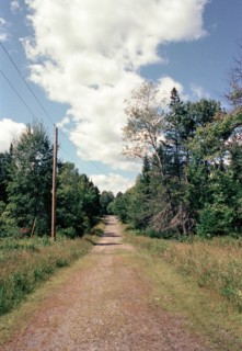 Rural Dirt Road through Wooded Landscape,,