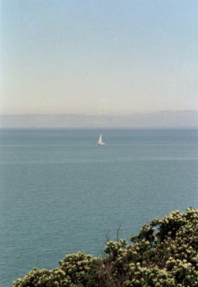Sailboat in Bay,,