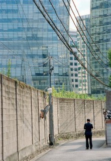 Rear View of Man standing on Street, Seoul,
