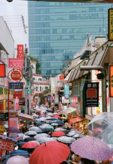 Umbrellas filling Narrow Street, Tokyo,