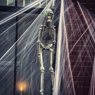 Skeleton and Cob Webs Halloween Decorations,,