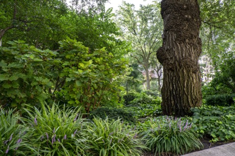 Gardens, Union Square Park,