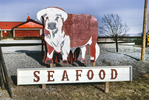 Bull Sign, Seafood