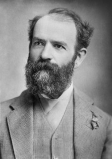 Jay Gould (1836-1892), American Railroad Magnate and Financier