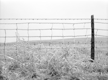 Frozen Barbed Wire Fence, Rockingham County
