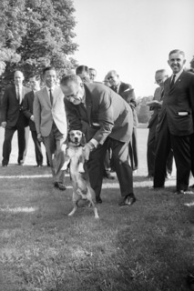 U.S. President Lyndon Johnson playing with his pet dog, South Korean President Park Chung-hee in background left