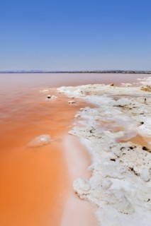 Pink Salt Lake, Torrevieja