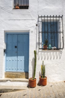 Two cactuses outside front door of Spanish house,