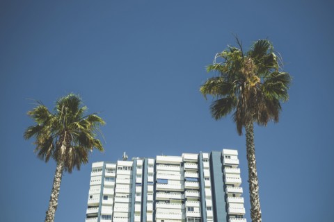Apartment Building and Two Palm Trees against Blue Sky,