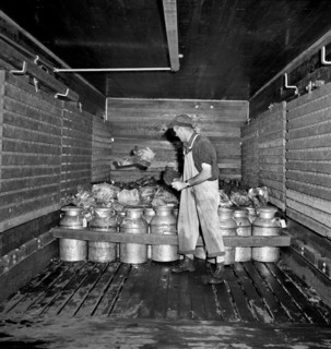 Worker shoveling Ice into Railroad Carload of Milk