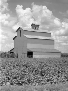 King and Anderson Plantation