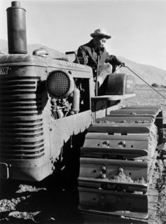 Benji Iguchi driving Tractor