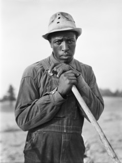 man, farmer, occupations, African-American ethnicity, historical,