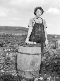 woman, occupations, farmer, agriculture, historical,