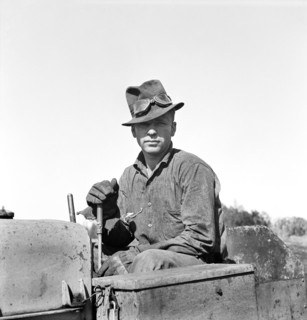 man, occupations, migrant worker, agriculture, historical,