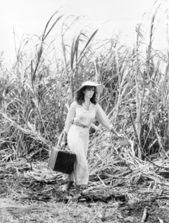 Rachel Ward, woman, actress, celebrity, entertainment, historical,