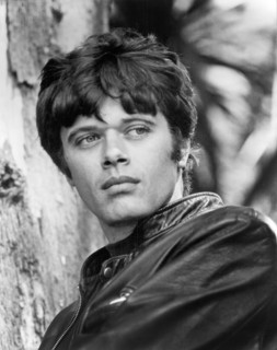 Michael Sarrazin, man, actor, celebrity, entertainment, historical,