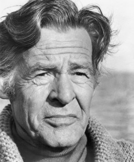 Robert Ryan, man, actor, celebrity, entertainment, historical,