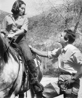 Nancy Kwan, Rod Taylor, actress, actor, celebrity, entertainment, historical,