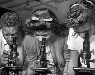 Students using Microscopes