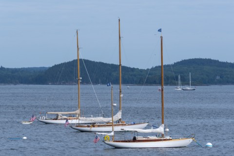Three Wooden Yachts moored in Harbor