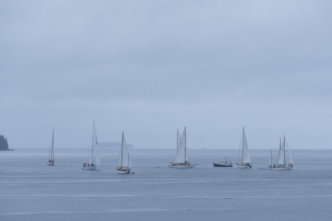 Yachts Racing